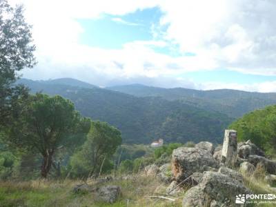 Ruta del Turrón y Polvorón - Los Pinares del Rey: naturaleza y biodiversidad; parque del capricho fu